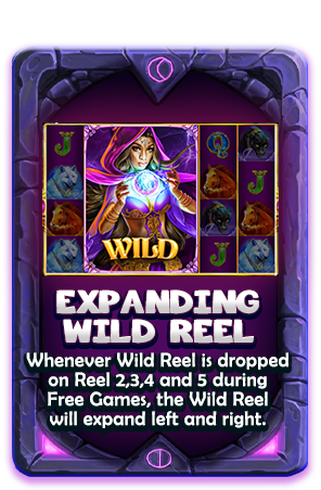 विस्तारवादी Wild Reel-icon